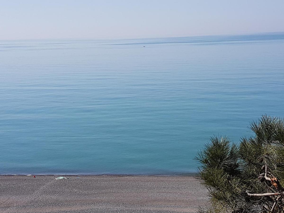קובולטי Midia Guest House מראה חיצוני תמונה